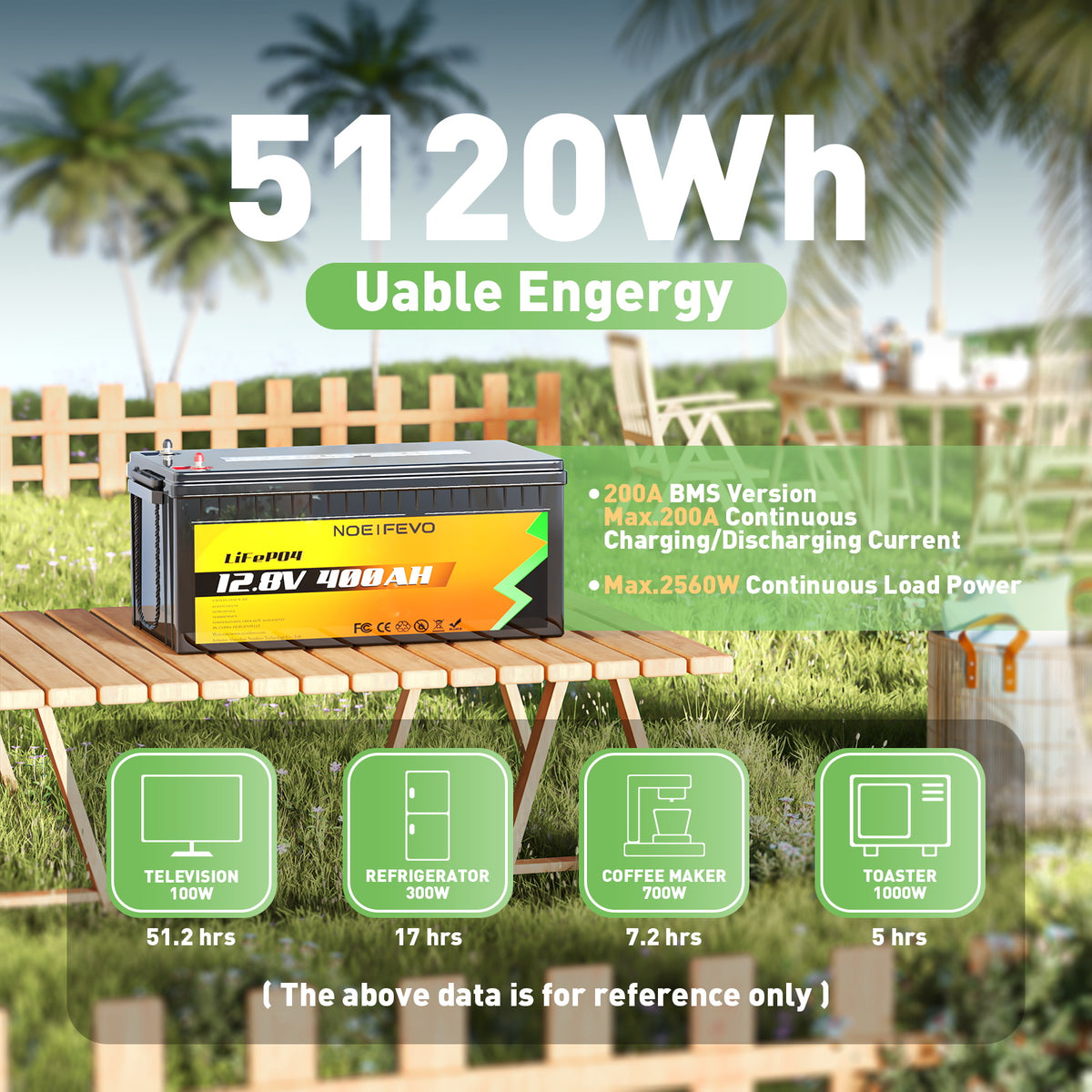 NOEIFEVO 5.12KWh 51.2V 100AH LiFePO4 Lithium Akku Batterie , 100A BMS, –  Smart LifePO4 Batterie & Heimspeicherung von Energie & Intelligentes  Ladegerät