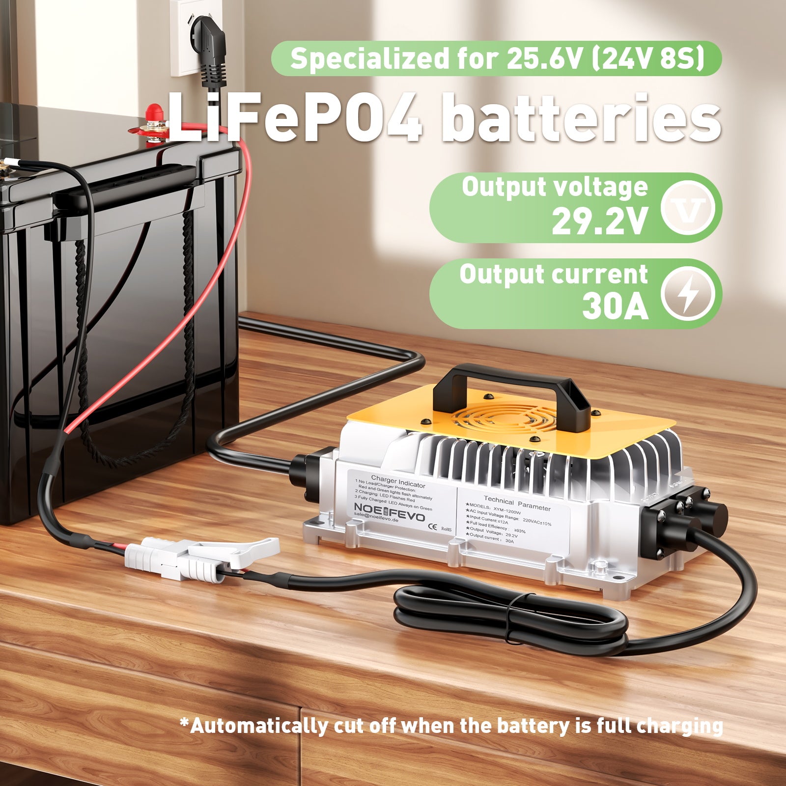 Noeifevo 29.2V 30A LiFePO4 Batterie Ladegerät für 24V 25.6V LiFePO4 Ak –  Smart LifePO4 Batterie & Heimspeicherung von Energie & Intelligentes  Ladegerät