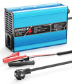 NOEIFEVO 43,8V 6A LiFePO4 Batterieladegerät für 38,4 V 12S LiFePO4-Batterie, automatische Abschaltung, Aluminiumgehäuse, E-Bike-Roller, Elektromotorrad